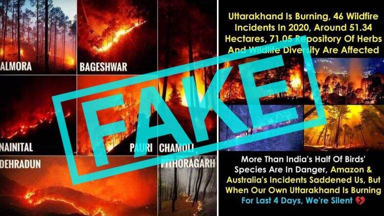 Forest Fire in Uttarakhand: उत्तराखंड के जंगलों में लगी आग की Fake Photos सोशल मीडिया पर वायरल, अधिकारियों ने पुरानी तस्वीरों को शेयर न करने की अपील की (Check Tweets)