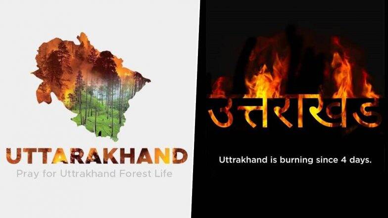 Forest Fire in Uttarakhand: उत्तराखंड के जंगलों में 4 दिनों से लगी आग, ट्विटर पर #SaveTheHimalyas कर रहा है ट्रेंड, लोग कर रहे हैं दुआ