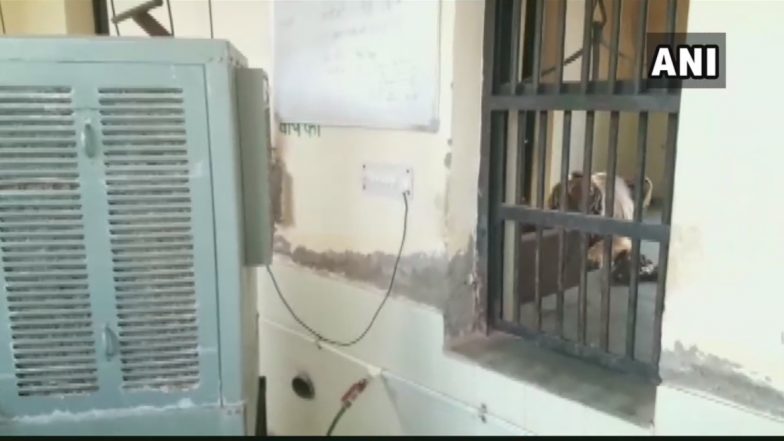 राजस्थान: आसमान से बरसती आग से जानवर भी बेहाल, चिलचिलाती गर्मी के बीच माचिया पार्क में जानवरों के लिए कूलर लगाए गए
