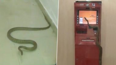 Shocking: गाजियाबाद के ATM के अंदर घुसा सांप, वायरल वीडियो को देख आप भी हो जाएंगे हैरान