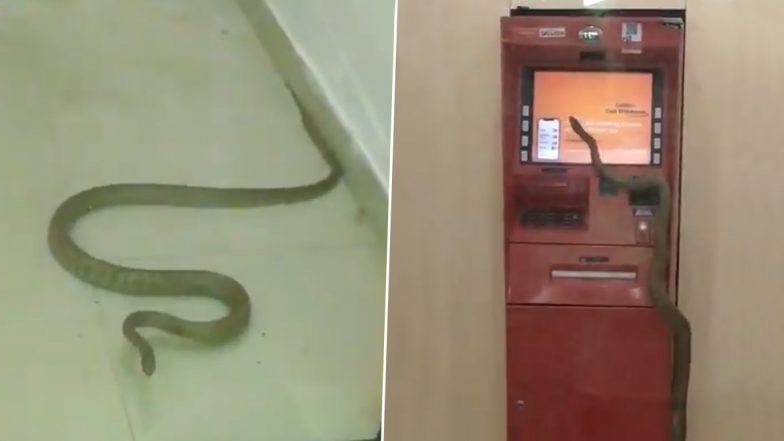 Shocking: गाजियाबाद के ATM के अंदर घुसा सांप, वायरल वीडियो को देख आप भी हो जाएंगे हैरान