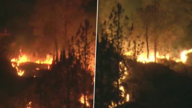 उत्तराखंड के जंगलों में लगी भीषण आग, पांच हेक्टेयर तक के जंगल जलकर खाक