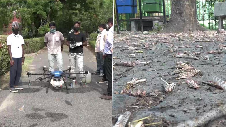 Locust Attack: उत्तर प्रदेश के आगरा में टिड्डी दल का आक्रमण, टिड्डियों को भगाने के लिए ड्रोन से किया जा रहा है केमिकल का छिड़काव
