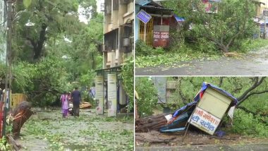 Cyclone Nisarga: महाराष्ट्र में चक्रवाती तूफान निसर्ग ने ली एक की जान, कई बड़े पेड़ जड़ समेत उखड़ गए