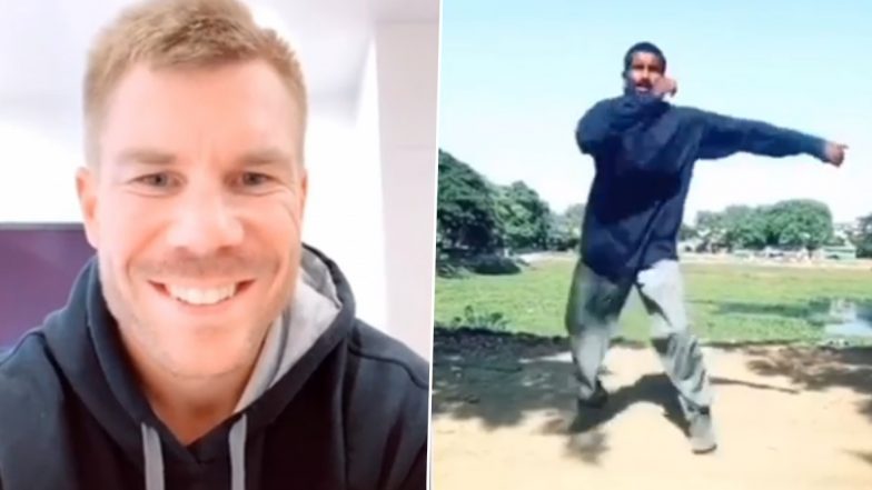 TikTok पर भारतीय डांसर का वीडियो देख दंग रह गए डेविड वार्नर, इंस्टाग्राम पर किया शेयर