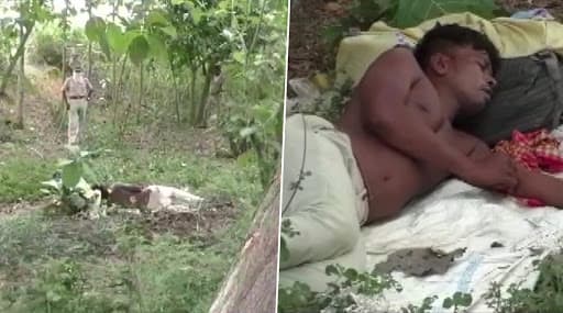 ओडिशा: गांव और क्वॉरंटीन सेंटर में नहीं मिली जगह तो मजदूर को 2 दिन बिताने पड़े जंगल में ओडिशा: गांव और क्वॉरंटीन सेंटर में नहीं मिली जगह तो मजदूर को 2 दिन बिताने पड़े जंगल में