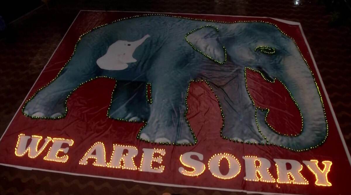 Pregnant Elephant Death In Kerala: तमिलनाडु में गर्भवती हथिनी को शिक्षकों ने कैंडल जलाकर दी श्रद्धांजलि Pregnant Elephant Death In Kerala: तमिलनाडु में गर्भवती हथिनी को शिक्षकों ने कैंडल जलाकर दी श्रद्धांजलि