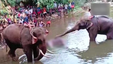 Pregnant Elephant Death In Kerala: केरल के पलक्कड़ में गर्भवती हथिनी की मौत के मामले में एक आरोपी गिरफ्तार-वन मंत्री के राजू