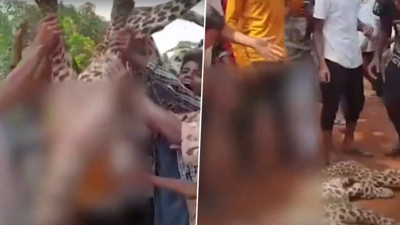 गर्भवती हथिनी के बाद असम में  तेंदुए के साथ हैवानियत, पीट-पीटकर निर्मम हत्या के बाद लोगों ने शव के साथ निकाली परेड- सोशल मीडिया पर वायरल हुआ वीडियो