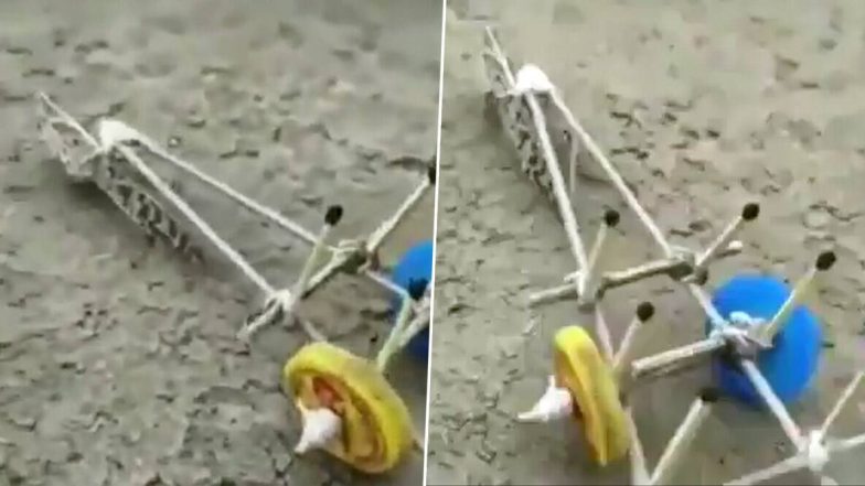 खेत में हल चलाती टिड्डी का वीडियो हुआ वायरल, फसलों को नुकसान पहुंचाने की मिली सजा (Watch Video)