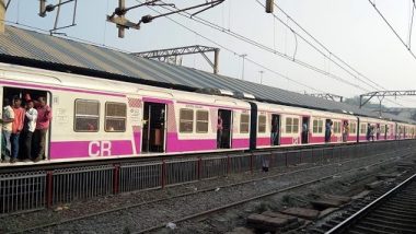 Mumbai Loal Train wallet: लोकल ट्रेन में गायब 14 साल बाद मिला खोया हुआ पर्स,  रेलवे पुलिस ने शख्स को लौटाया