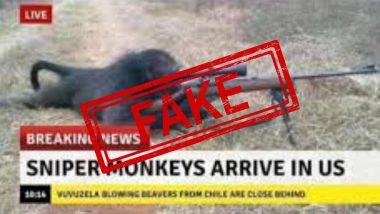 Sniper Monkeys Arrive In The US: अमेरिका में स्नाइपर बंदरों का आगमन? जानें सोशल मीडिया पर राइफल पकड़े बंदर की वायरल हो रही तस्वीर की सच्चाई