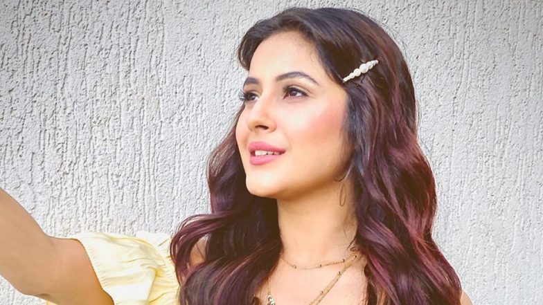 शहनाज गिल और टोनी कक्कड़ की बनी जोड़ी, सॉन्ग 'कुर्ता पजामा' में साथ आएंगे नजर