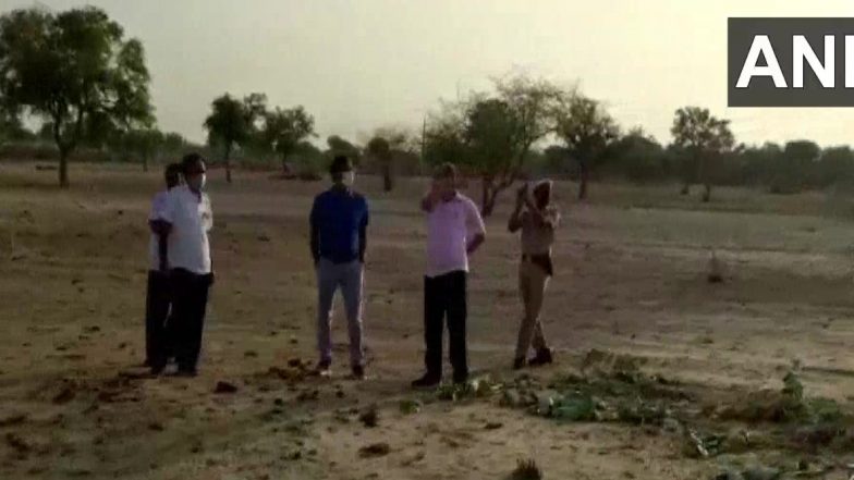 Locust Attack: राजस्थान में थम नहीं रहा है टिड्डी दल का आतंक, फसलों को भारी नुकसान, टिड्डियों को नियंत्रित करने की कवायद जारी