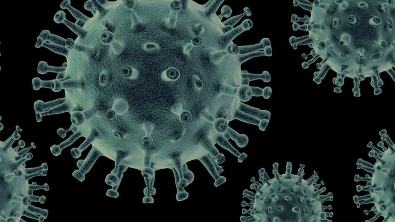 New Swine Flu: चीन के शोधकर्ताओं ने की नए प्रकार के स्वाइन फ्लू की खोज, जो बन सकता है नई महामारी का कारण