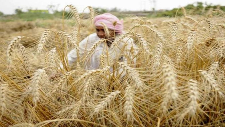 Monsoon 2020: मानसून हुआ मेहरबान, खरीफ बुवाई में 104 फीसदी का इजाफा