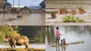 Assam Floods: असम में बाढ़ से जुड़ी घटनाओं में अब तक 79 लोगों ने गंवाई जान, काजीरंगा नेशनल पार्क और टाइगर रिजर्व में 108 जानवरों की मौत
