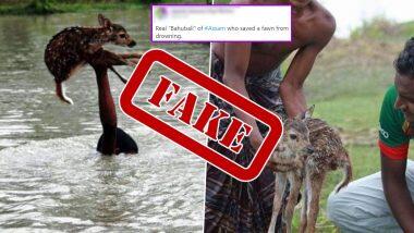 Assam 'Bahubali' Fake Viral Image: हिरण के बच्चे को डूबने से बचाते हुए लड़के की तस्वीरें वायरल, पोस्ट में उसे बताया गया असम का असली बाहुबली, जानें क्या है इस दावे की सच्चाई