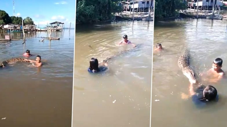 Shocking! नदी में मगरमच्छ के साथ खेलते बच्चों का वीडियो हुआ वायरल, देखकर आप भी हो जाएंगे हैरान (Watch Video)