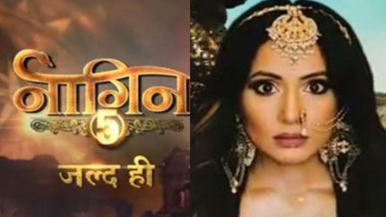 Naagin 5 Promo: नागिन बनी हिना खान का प्रोमो आया सामने, युगों पुरानी प्रेम कहानी की होगी शुरुआत