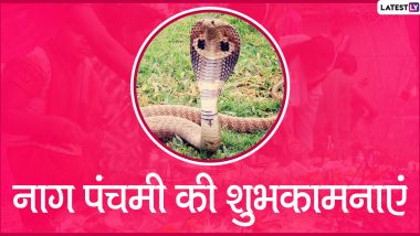 Happy Nag Panchami 2020 Messages: नाग पंचमी के शुभ अवसर पर सगे-संबंधियों को इन हिंदी WhatsApp Stickers, Facebook Greetings, GIF Wishes, HD Images, Wallpapers, SMS, Quotes के जरिए दें शुभकामनाएं