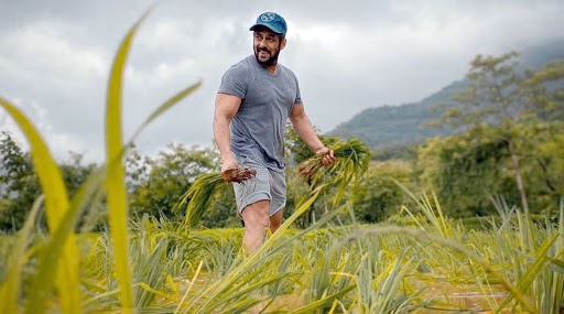 सलमान खान अपने पनवेल स्थित फार्महाउस में कर रहे हैं खेती, फोटो शेयर कर कहा- जय जवान! जय किसान!