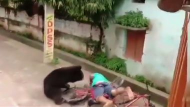 Wild Bear Attacked in Odisha: ओडिशा के रिहायशी इलाके में जंगली भालू के घुसने से दहशत, हमले में एक शख्स घायल, देखें VIDEO