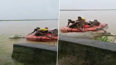 Odisha: ओडिशा के नयागढ़ में किसान और दो बैल नदी में गिरे, रेस्क्यू कर बचाया गया, (Watch Video)