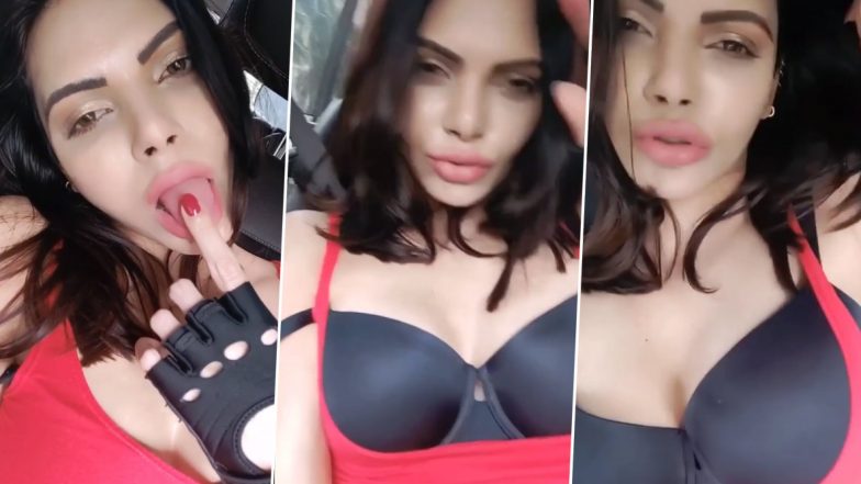 Sherlyn Chopra Hot Video: कार में बैठकर शर्लिन चोपड़ा ने दिए बोल्ड पोज, अंदाज कर देगा हैरान