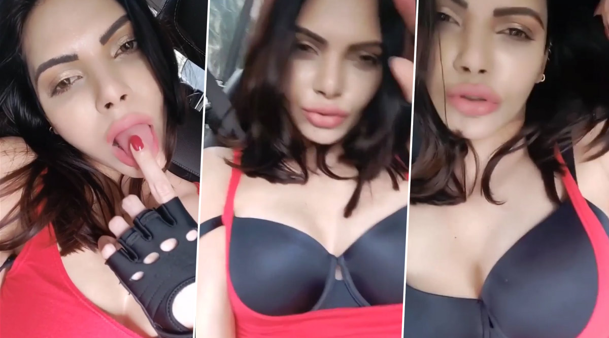 Sherlyn Chopra Hot Video: कार में बैठकर शर्लिन चोपड़ा ने दिए बोल्ड पोज,  अंदाज कर देगा हैरान | 👍 LatestLY हिन्दी