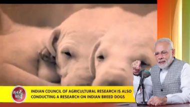 Mann Ki Baat 2020: पीएम नरेंद्र मोदी ने 'मन की बात' रेडियो कार्यक्रम में भारतीय नस्ल के कुत्ते पालने पर करें विचार करने की बात कही