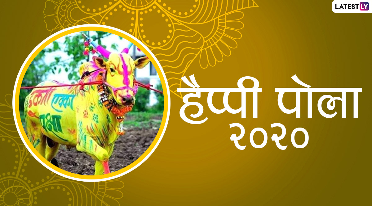Happy Pola 2020 Wishes & HD Images: पोला के खास अवसर ...