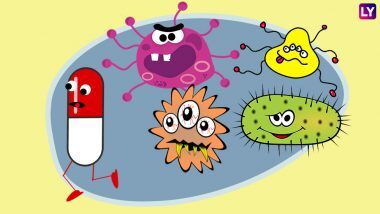 Antibiotics And Your Immunity: क्या एंटीबायोटिक्स आपकी रोग प्रतिरोधक क्षमता को कर सकते हैं कमजोर? दवाइयों के सेवन के बाद ऐसे अपनी इम्यूनिटी की करें रक्षा