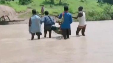 छत्तीसगढ़: गर्भवती महिला को टोकरी में बिठाकर लोगों ने नदी पार कर पहुंचाया अस्पताल, गांव तक नहीं पहुंच सकती थी एंबुलेंस (Watch Video)