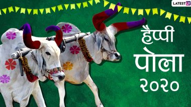 Happy Pola 2020 Wishes & HD Images: पोला के खास अवसर पर प्रिजयनों को इन मनमोहक हिंदी WhatsApp Stickers, Facebook Messages, GIF Greetings, Photos, Wallpapers के जरिए दें शुभकामनाएं