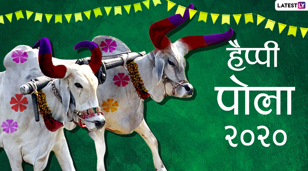 Happy Pola 2020 Wishes & HD Images: पोला के खास अवसर ...