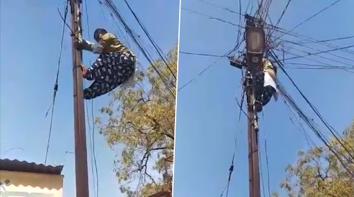 Beed Woman Climbs Electric Pole Barefooted: महाराष्ट्र के बीड में बिजली के तारों से खेलती है उषा जगदाले, बिना सीढ़ी के सरपट चढ़ जाती है खंभों पर, देखें वीडियो