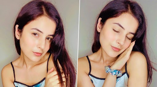 Shehnaaz Gill Shocking Transformation: बिग बॉस 13 कंटेस्टेंट शहनाज गिल का बॉडी ट्रांसफॉर्मेशन देखकर हैरान हुए फैंस, देखें लेटेस्ट Photo