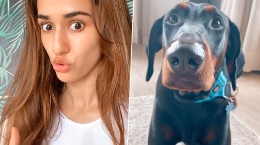 Disha Patani Rasode Me Kaun Tha Video: दिशा पटानी ने वायरल 'रसोड़े में कौन था' Meme पर बनाया मजेदार नया वीडियो