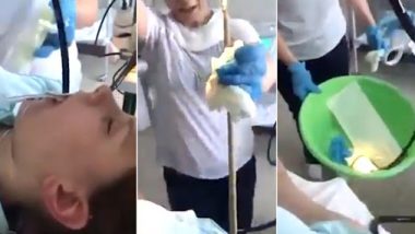 Snake Pulled From Woman's Mouth: रूस  में सोती हुई महिला के मुंह में घुसा 4 फीट लंबा सांप, दम घुटने से हुई सांप की मौत- देखें वीडियो