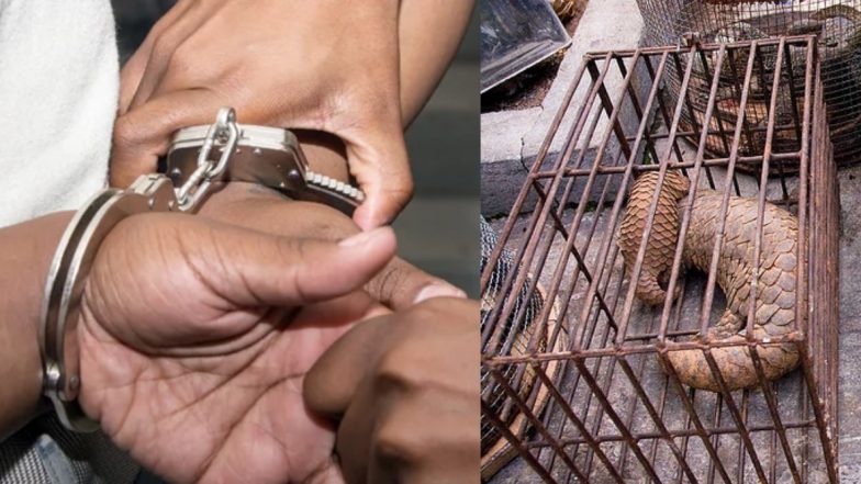 Pangolin Smuggler Arrested in Uttar Pradesh: उत्तर प्रदेश में पकड़ा गया गुजरात का पैंगोलिन तस्कर, अन्य दो के खिलाफ मामला दर्ज