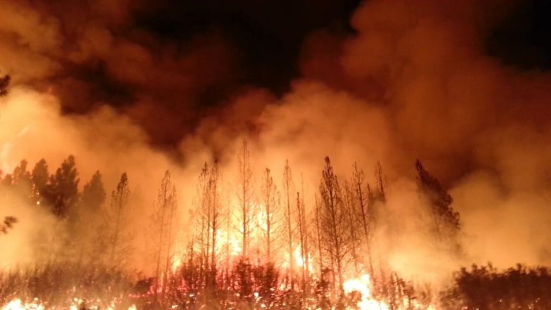 Caldor Fire: कैलिफोर्निया के इतिहास की 15वीं सबसे बड़ी जंगल की आग पर 37% काबू पाया गया