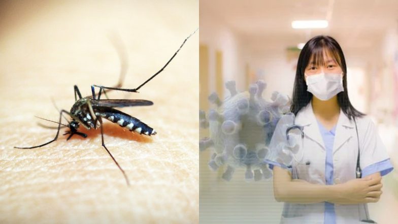 Dengue Provide Immunity Against COVID-19: डेंगू बन रहा है घातक कोरोना वायरस महामारी के खिलाफ रक्षा कवच, अध्ययन में हुआ खुलासा