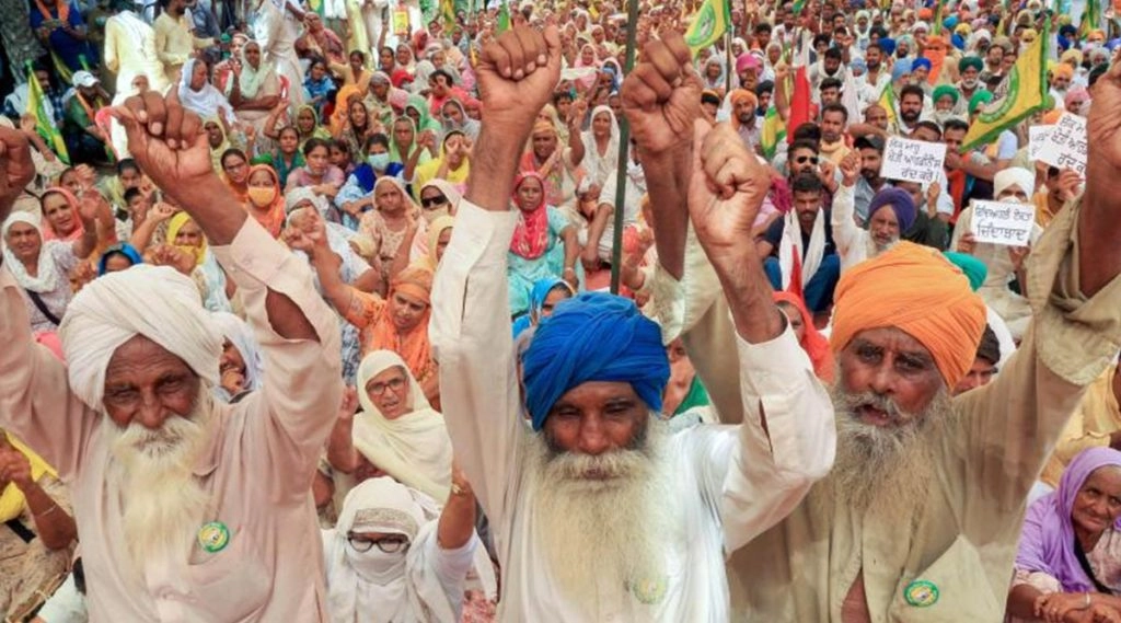 गाजीपुर बॉर्डर पर किसानों के प्रदर्शन में अब जानवरों की एंट्री