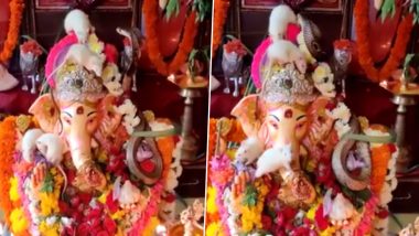 Ganeshotsav 2020: गणपति बप्पा की प्रतिमा पर नागराज के साथ खेलते नजर आए कई चूहे, गणेशोत्सव के दौरान वायरल हुआ यह अद्भुत वीडियो (Watch Viral Video)