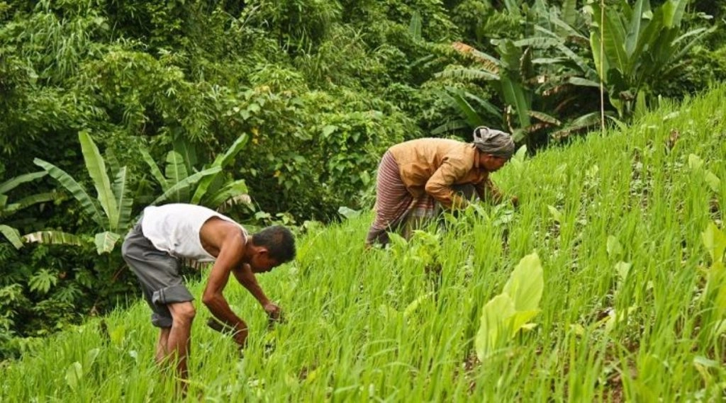 यूपी में बारिश से फसल बर्बाद, सदमे से किसान की मौत