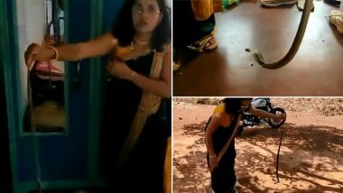 Snake Rescue Viral Video: शादी समारोह में जाने के बजाय किंग कोबरा को रेस्क्यू करने पहुंचीं स्नैक कैचर Nirzara Chitti, साड़ी पहनकर सांप को पकड़ने का यह वीडियो हुआ वायरल