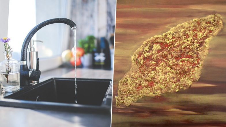 Brain-Eating Amoeba: टेक्सास में नल के पानी में मिला दिमाग खाने वाला जानलेवा अमीबा, Naegleria fowleri को लेकर चेतावनी जारी