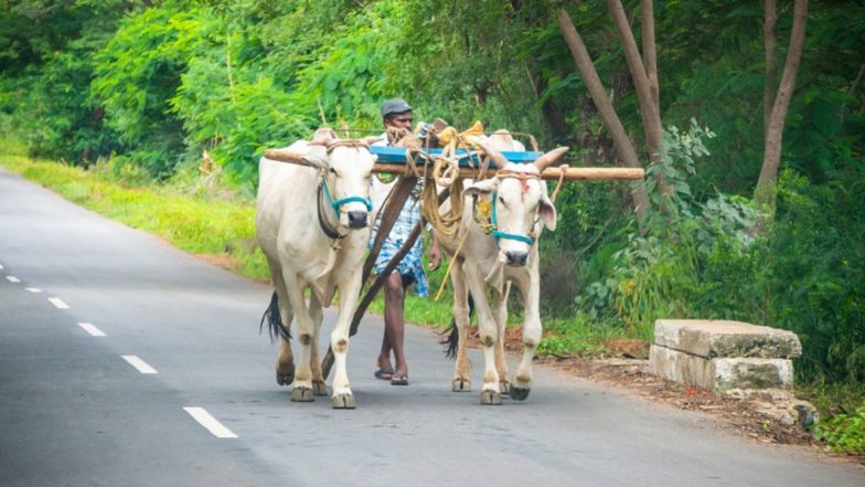 No Unemployment in This Village: मेरठ का एक ऐसा गांव, जहां एक भी व्यक्ति बेरोजगार नहीं , कोरोना महामारी भी नहीं कर सकी रोजगार को प्रभावित