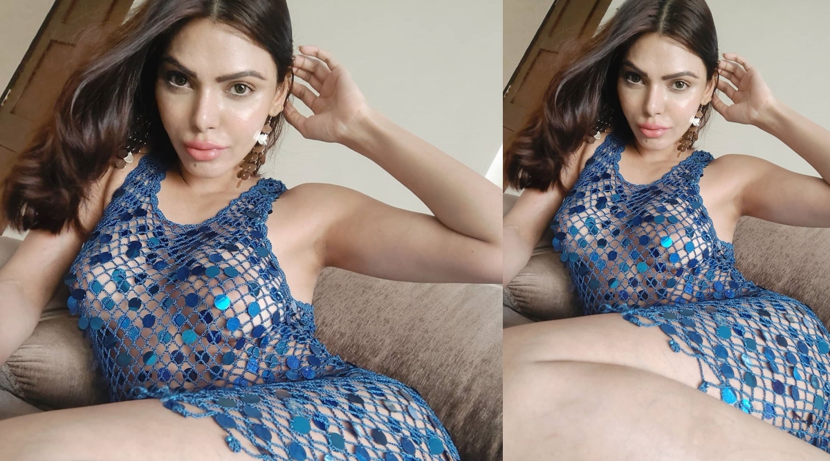 Sherlyn Chopra Hot Photos: शर्लिन चोपड़ा ने नेट गाउन पहन फैंस किया हैरान,  हॉटनेस देखते रह जाएंगे आप | 👍 LatestLY हिन्दी